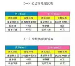 外部培训考核表格模板 外部培训考核表