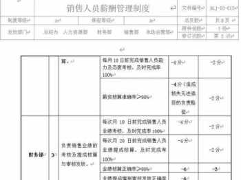 销售高管薪酬体系设计 销售高管薪酬体系设计案例