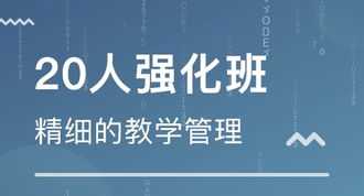 艺考文化培训课程体系 艺考文化课培训机构排行