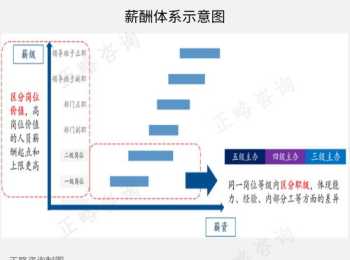 设计公司薪酬体系设计方案 设计公司薪酬体系设计方案怎么写