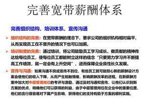 业务员工薪酬体系设计案例分享 业务员工薪酬体系设计案例