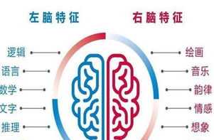 教育培训机构特色目标有哪些 教育培训机构特色目标