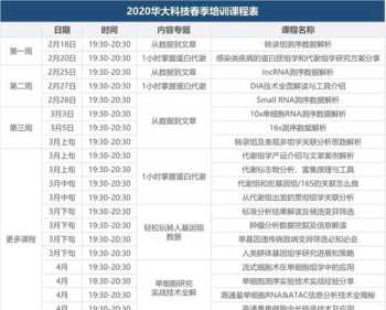 罗马诺介绍 holic中文意思什么