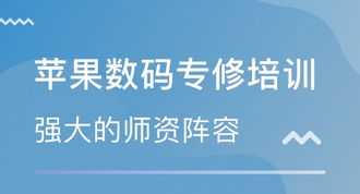 培训软件技术 软件培训方式