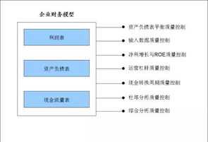 与高级财务管理有关的书籍 高级财务管理涂必胜