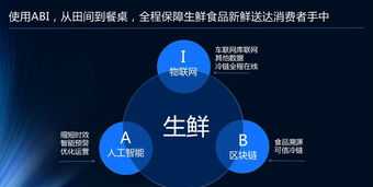 数字互联网技巧培训内容 互联网数字化技术