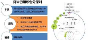 阿米巴模式的培训收获与感悟 阿米巴线下培训课程