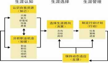 专家英文怎么翻 proficient