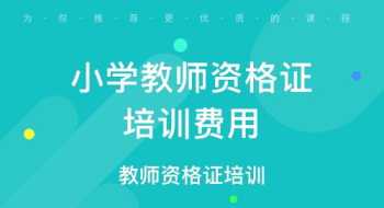 北外的英语老师水平咋样 ncte新概念等级考试怎么样