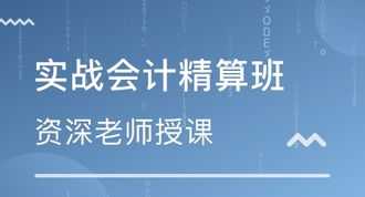 互联网 会计 互联网会计实操培训