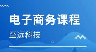 电商训练营方案 电商团队教练培训体系