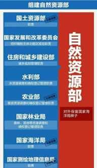 高中体育教练团队组建方案怎么写 高中体育教练团队组建方案