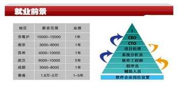 软件培训前景面试 软件公司的培训内容