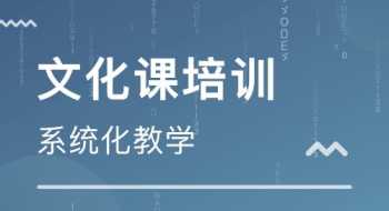 金博士 金博士825玉米种子简介