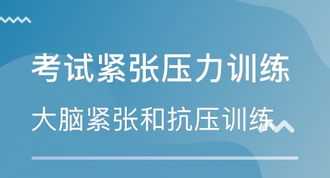 米未传媒入职培训 在米未传媒工作好吗