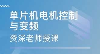 金山区互联网应用软件培训 金山网络科技有限公司招聘