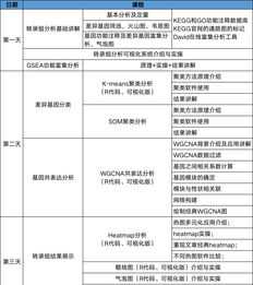 九年级英语作业本 初三英语资料一本好吗