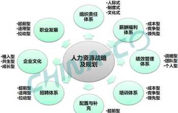 国际管理咨询公司人力资源 国际管理咨询公司人力资源怎么样