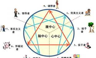 对职业生涯管理模型分析 职业生涯管理特征有哪些