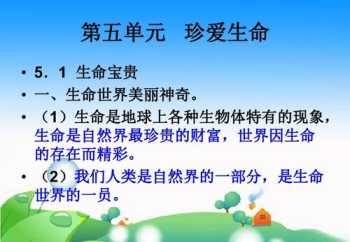 社工法律培训课件下载网站 社工法律法规试题