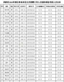 凤阳人力资源 凤阳人力资源和社会保障局网站