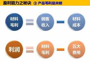 高级财务管理ppt 高级财务管理PPT吉林师范大学