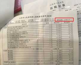 象字的笔顺怎么写 象笔顺