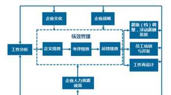 may什么意思中文翻译 may什么意思