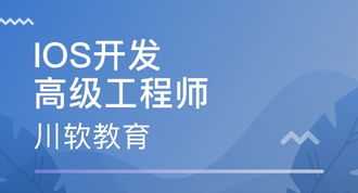 软件开发人员培训 对日软件开发培训