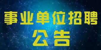 人力资源咨询宣传海报模板 人力资源相关咨询