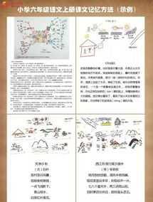 超强大脑课程培训心得 超强大脑学生训练加盟