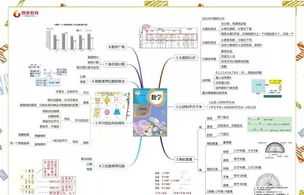 超强大脑课程培训心得 超强大脑学生训练加盟