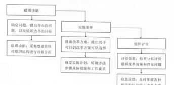 人力资源管理二级考试考的什么? 人力资源管理二级考试