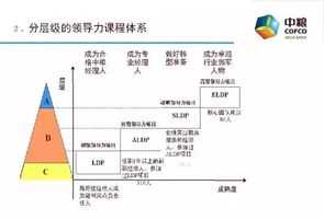 口才与人格魅力 人格魅力高可以理解为全能吗