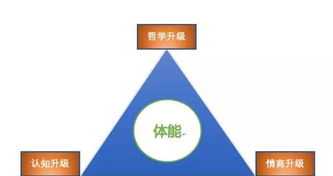 上海市建平实验学校 上海建平实验中学属于哪个镇