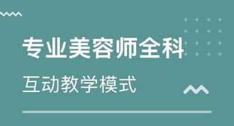 美发管理培训入职 美发培训内容