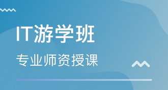 ey人力资源咨询 人力资源咨询服务有限公司