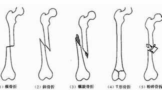 四级分数查询 四级分数查询入口官网