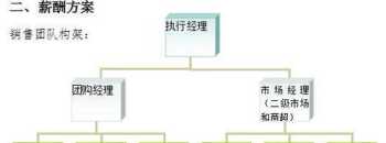 软件销售薪酬体系设计方案 软件销售薪酬体系设计方案