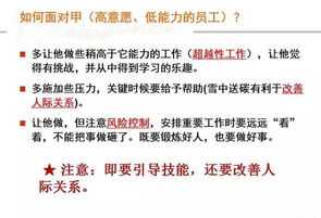 领导力的提升策略 领导力如何提升工作效率论文