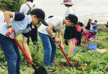 团队培训规划 团队培训活动设定目标