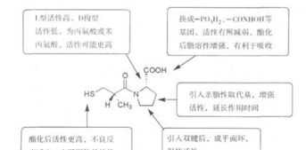 靶向药物研发思路 靶向药研发课程设置内容