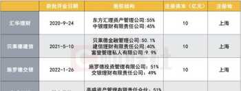 中外合资企业财务管理 中外合资企业财务管理办法