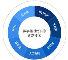 高级口译报名时间2024下半年 高级口译报名