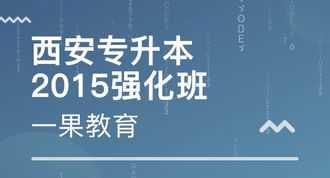 外教一对一网课哪个好 外教一对一英语网课