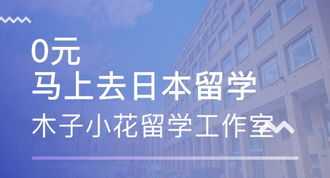 2024初级会计考试延期到什么时候 2024年初级会计考试延期