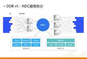 数据库的基本特点 数据库系统的核心