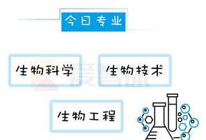 结汇英文 出口结款方式为TT60天，是什么意思