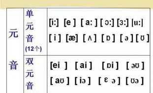 48个音标 48个音标发音图解舌位图