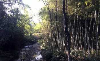 徐霞客三游什么 杭州火车南--天台县--天台山坐车怎么走